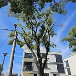 Apartment Lusi