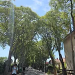 Apartment Lusi